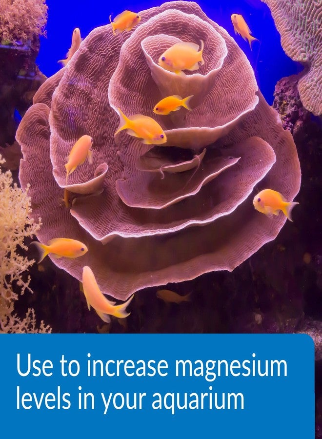 API Marine Magnesium Reef Aquarium Magnesium Solution 16-Ounce Bottle - Image 2